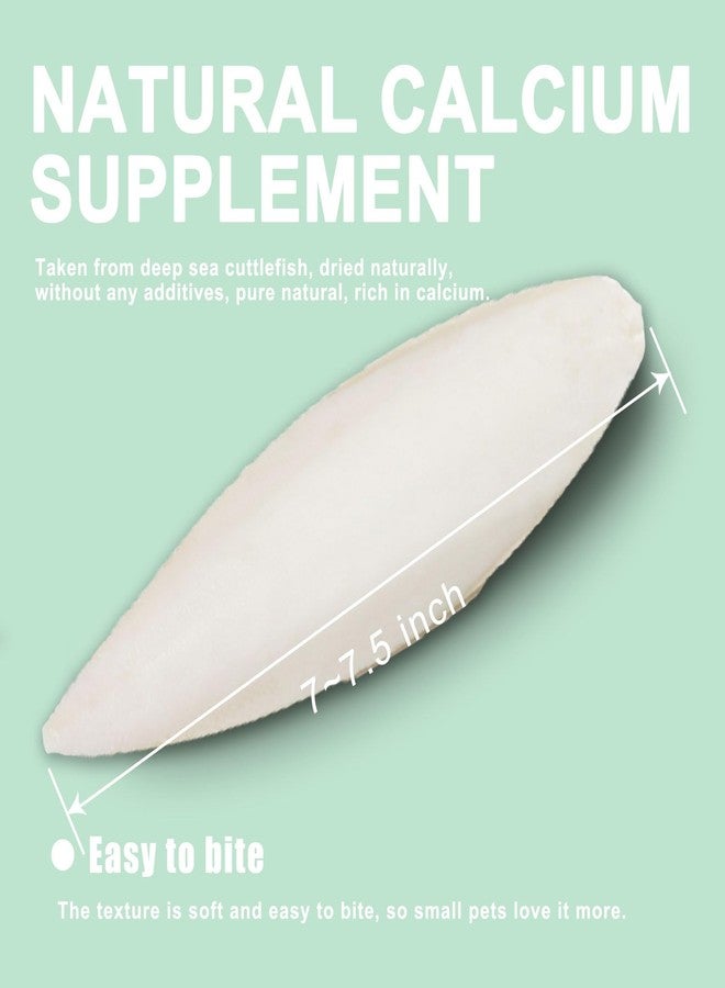 Mivofun Cuttlebone for Birds Parakeets Canaries Cockatiels Small Conures Mynahs Toucans African Greys All Parrots Snails Totoise,Natural Cuttlefish Bone for Bird Cage (7"-7.5"(Pack of 6)) - Image 3